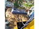 XCMG Used Excavator Sale XE215C Used Compact Excavator for Sale