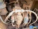 XCMG Used Drilling Rig Machine XR280D Rotary Piling Rig Price