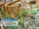 XCMG XGA6013-6S 6 Ton Used Tower Crane for Sale
