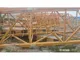 8 Ton Tower Crane XGT6015A-8S XCMG Used Tower Crane Price
