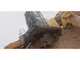 Used XCMG XE1300C crawler excavator