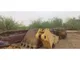 Used XCMG XE1300C crawler excavator